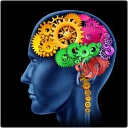 7 MITOS CEREBRO FALSOS