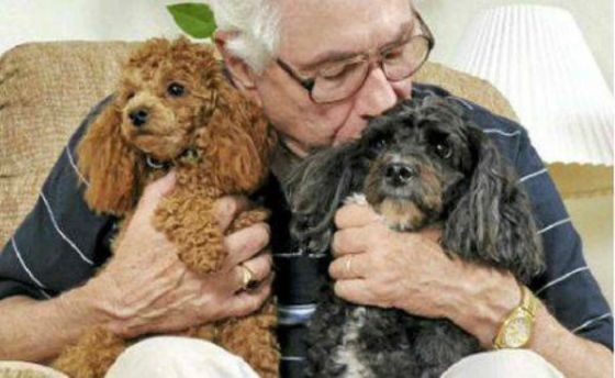 TERAPIA ASISTIDA CON PERROS PARA PERSONAS CON ALZHEIMER Y OTRAS DEMENCIAS