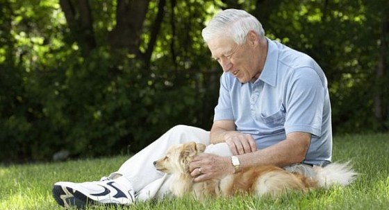 TERAPIA ASISTIDA PERROS PERSONAS CON ALZHEIMER Y OTRAS DEMENCIAS