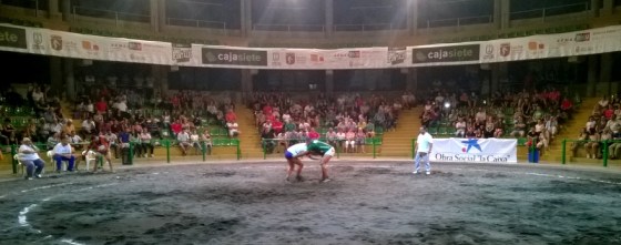 LUCHADA ALZHEIMER LP