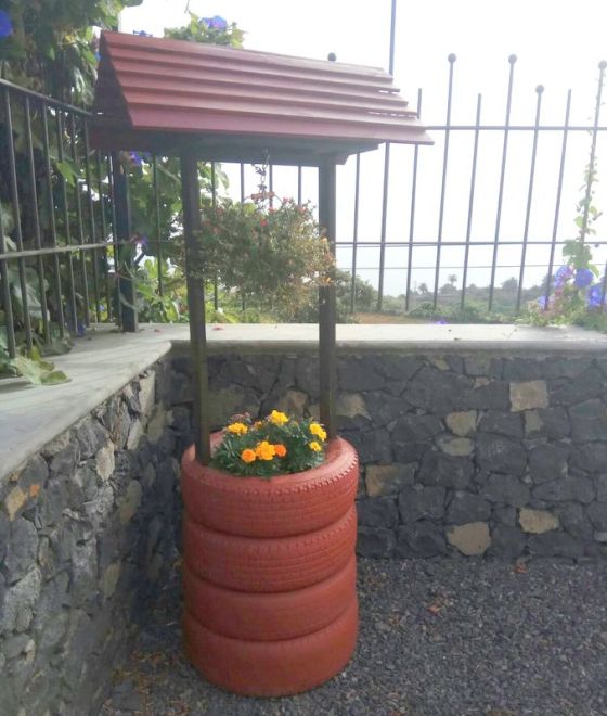 AFA LA PALMA. JARDINES CENTRO LAS LEDAS