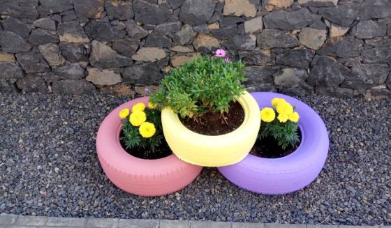 AFA LA PALMA. JARDINES CENTRO LAS LEDAS