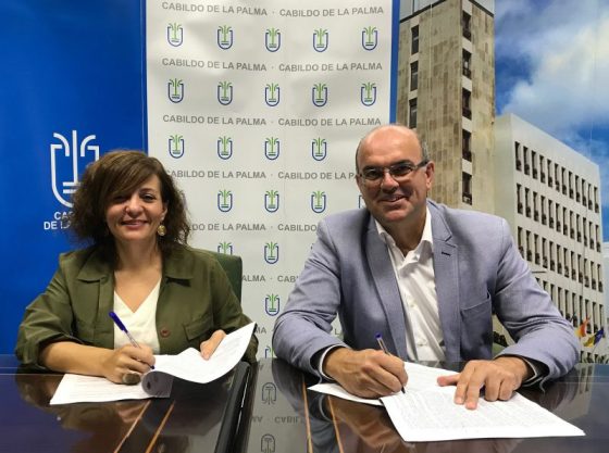 CONVENIO AFA LA PALMA - CABILDO. FORMACION