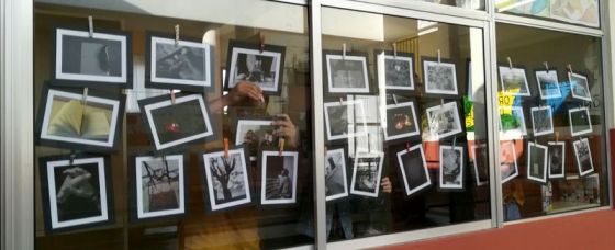 AFA LA PALMA COLABORA CON EL IES EUSEBIO BARRETO EN LA INICIATIVA “ORUGAS Y MARIPOSAS”