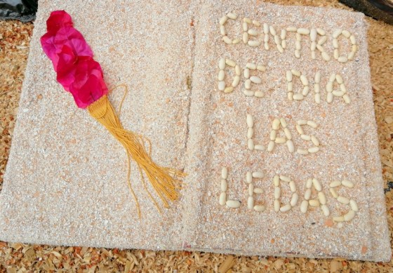 CRUZ CENTRO DE DIA LAS LEDAS. AFA LA PALMA